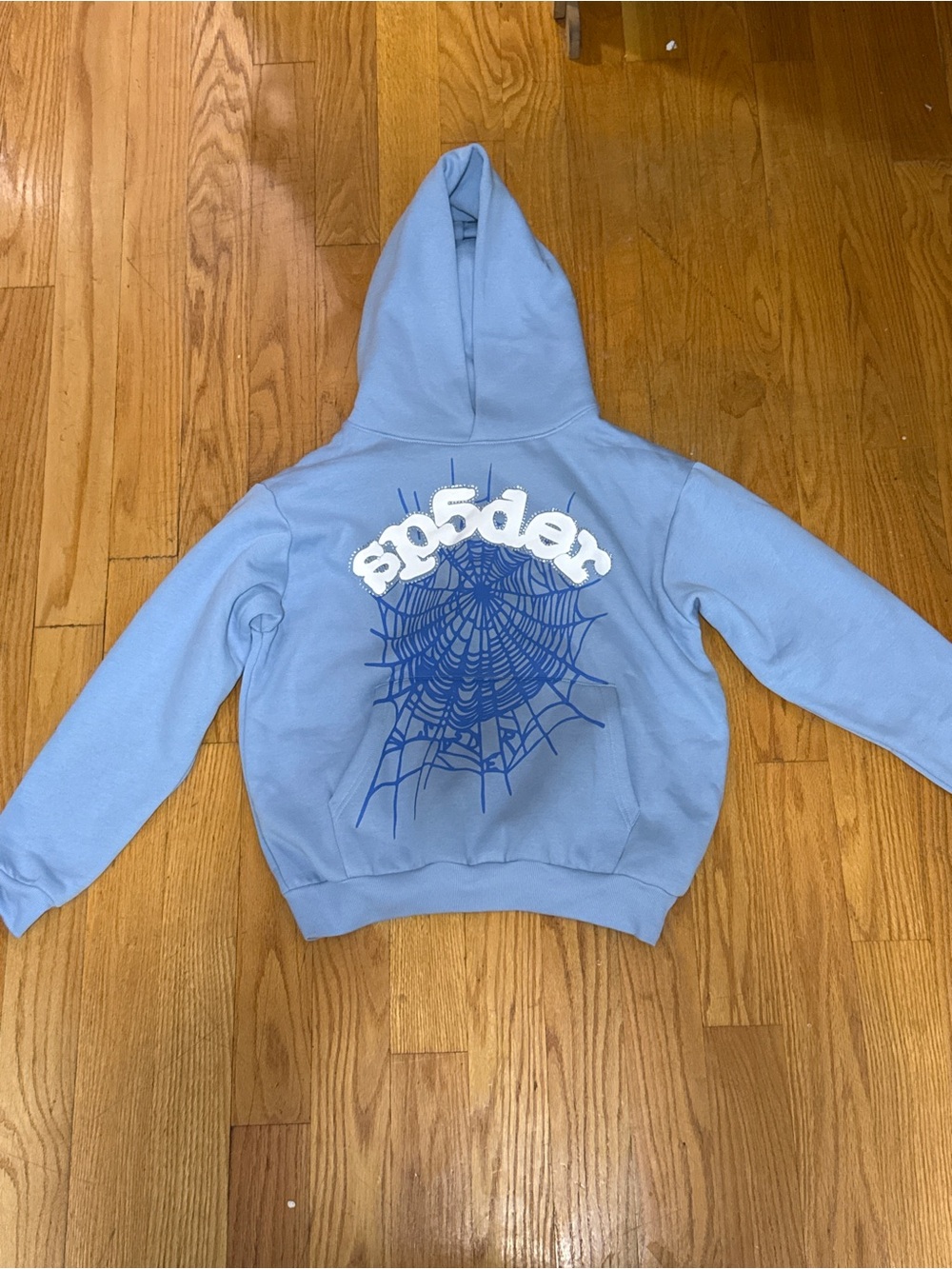Light Blue Web Graphic Hoodie